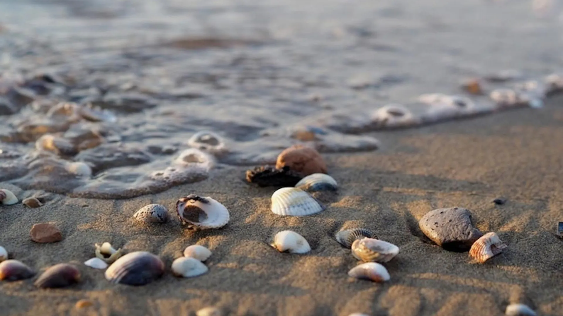Sand, Sun, And Beach Enjoy Your Escape Bibione 0*,  Italy